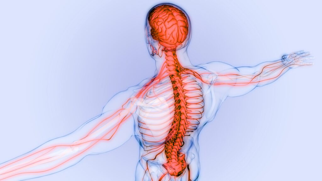 Musculoskeletal Conditions - Pain Management at Genestac Therapeutics