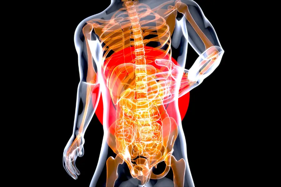 Stem Cell Therapy for Back Pain Treatment - Genestac Therapeutics